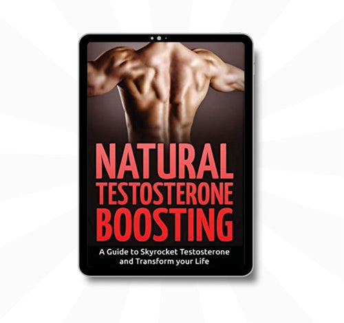 Testosterone Boosting Guide